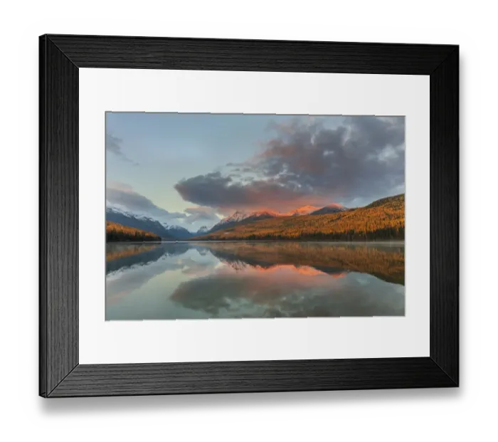 Framed Print : Mountain peaks reflect into Bowman Lake in autumn in Glacier National Park, Montana, USA Framed Print : Mountain peaks reflect into Bowman Lake in autumn in Glacier National Park, Montana, USA