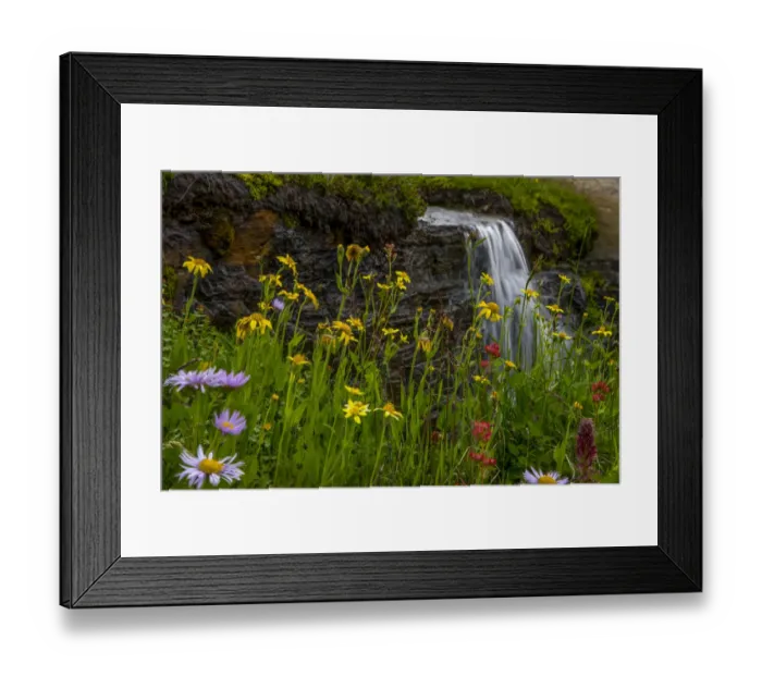 Framed Print : Waterfall behind Wildflowers. Glacier National Park. Montana. USA Framed Print : Waterfall behind Wildflowers. Glacier National Park. Montana. USA