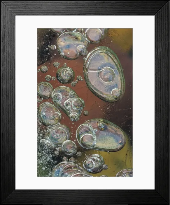 Framed Print : Macro of bubbles forming under ice along the edge of Lake McDonald in Glacier National Park Framed Print : Macro of bubbles forming under ice along the edge of Lake McDonald in Glacier National Park