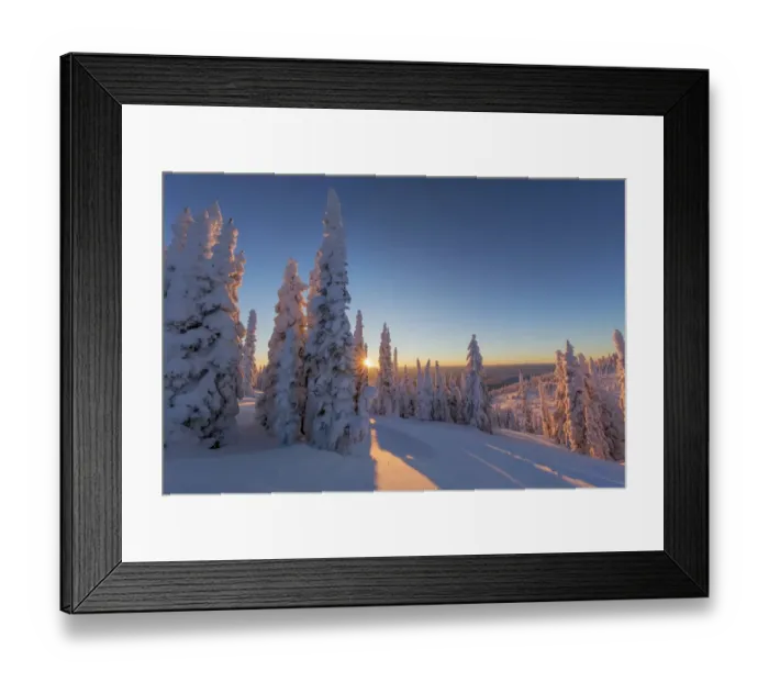 Framed Print : Setting sun through forest of snowghosts at Whitefish, Montana, USA Framed Print : Setting sun through forest of snowghosts at Whitefish, Montana, USA