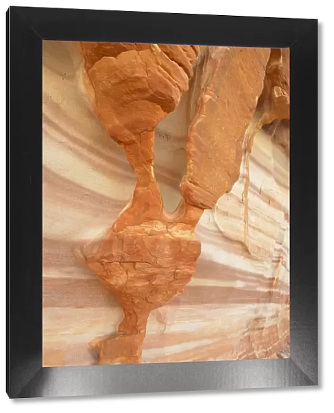 USA, Nevada, Valley of Fire State Park, Sculpted red sandstone