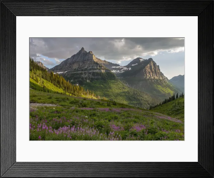 Framed Print : Wildflowers and Mountains. Glacier National Park. Montana. USA Framed Print : Wildflowers and Mountains. Glacier National Park. Montana. USA