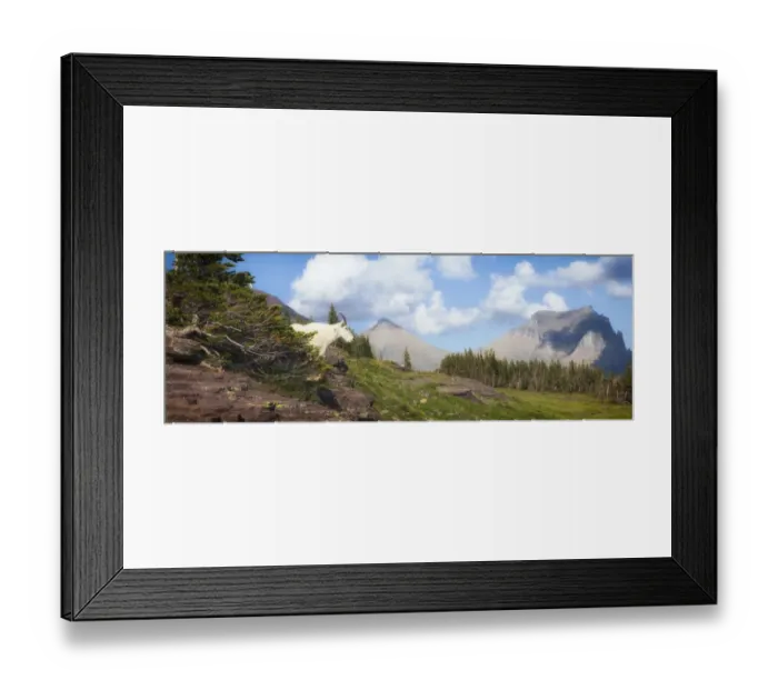 Framed Print : Mountain Goat on the Hillside. Glacier National Park. Montana. USA