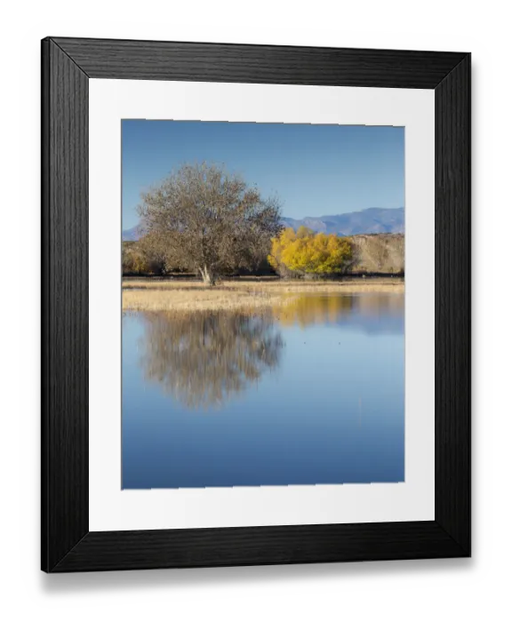 Framed Print : Bosque del Apache NWR, fall, New Mexico