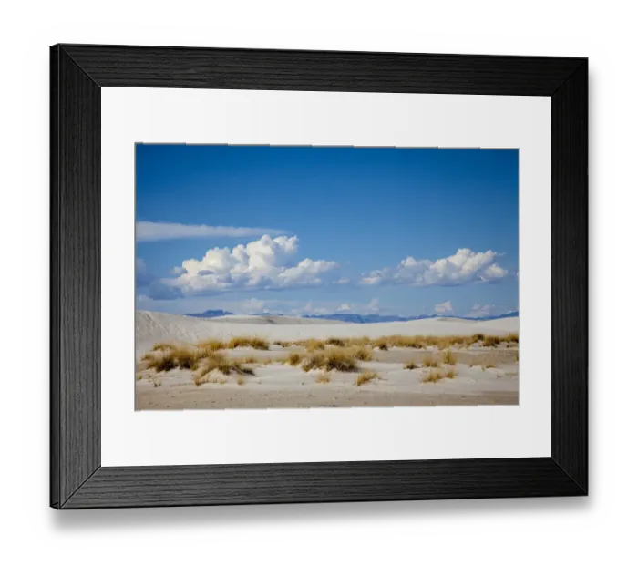 Framed Print : United States, New Mexico, White Sands National Monument, Landscape of Brush, Sand