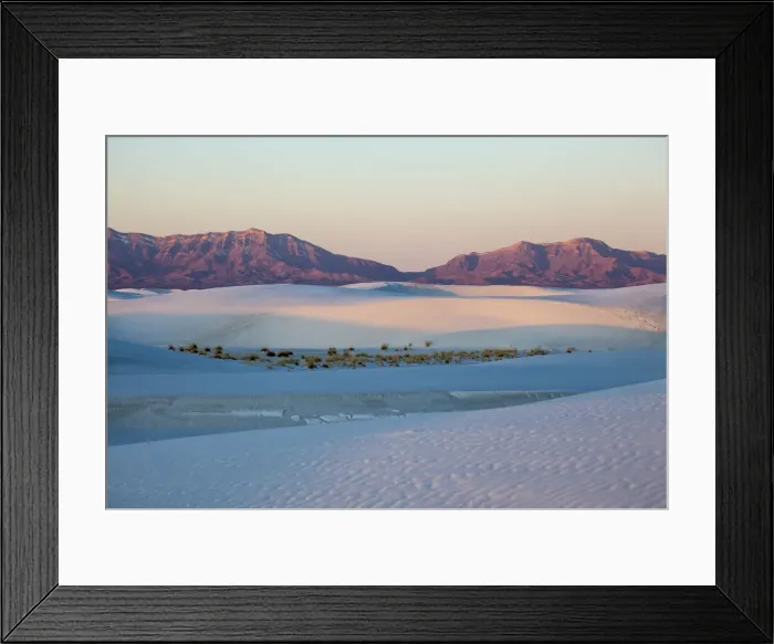 Framed Print : United States, New Mexico, White Sands National Monument, Landscape of Brush, Sand Framed Print : United States, New Mexico, White Sands National Monument, Landscape of Brush, Sand