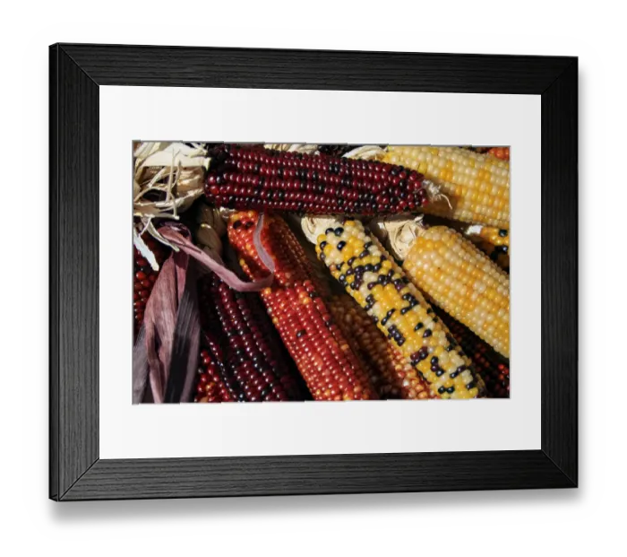 Framed Print : Santa Fe, New Mexico, USA. Dried Indian corn
