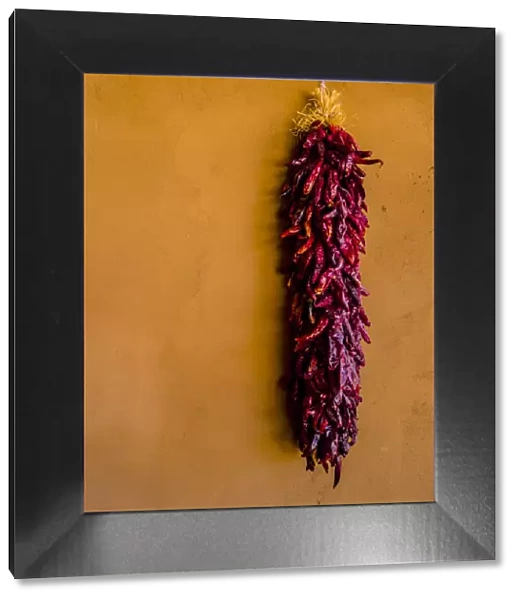 Santa Fe, New Mexico. The Long, Dried, Group of Red Chili Peppers and a Terra Cotta wall