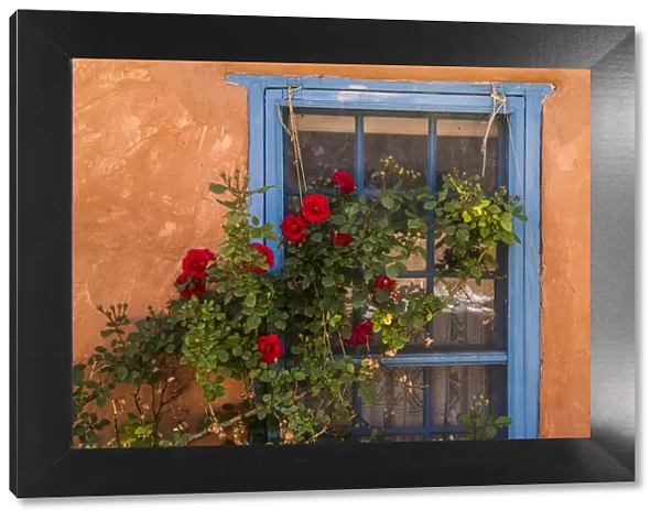 Santa Fe, New Mexico. Blue painted lattice wooden window with a red rose bush against