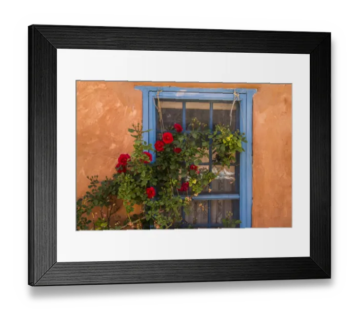 Framed Print : Santa Fe, New Mexico. Blue painted lattice wooden window with a red rose bush against