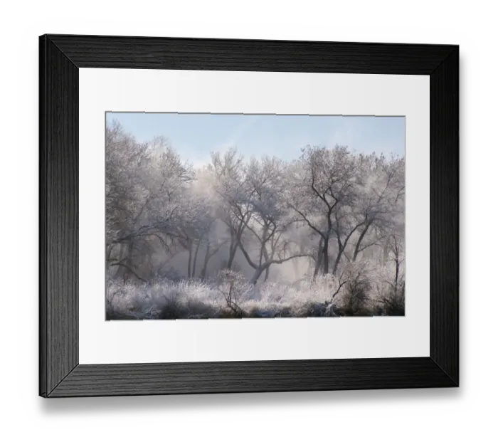 Framed Print : Along the Bosque, New Mexico Framed Print : Along the Bosque, New Mexico