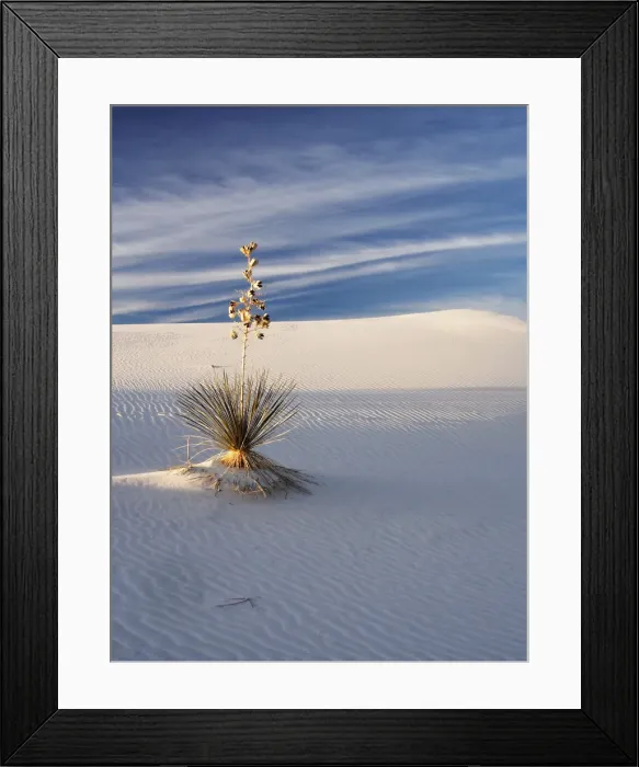 Framed Print : North America; USA; New Mexico, White Sands National Monument; Sand Dune Patterns Framed Print : North America; USA; New Mexico, White Sands National Monument; Sand Dune Patterns