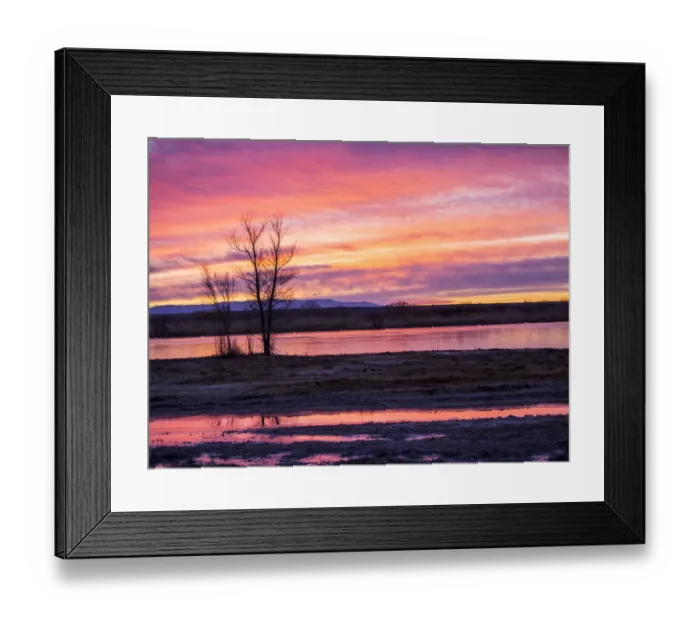 Framed Print : North America; Usa; New Mexico; Sunrise at Bosque del Apache National Wildlife Refuge Framed Print : North America; Usa; New Mexico; Sunrise at Bosque del Apache National Wildlife Refuge