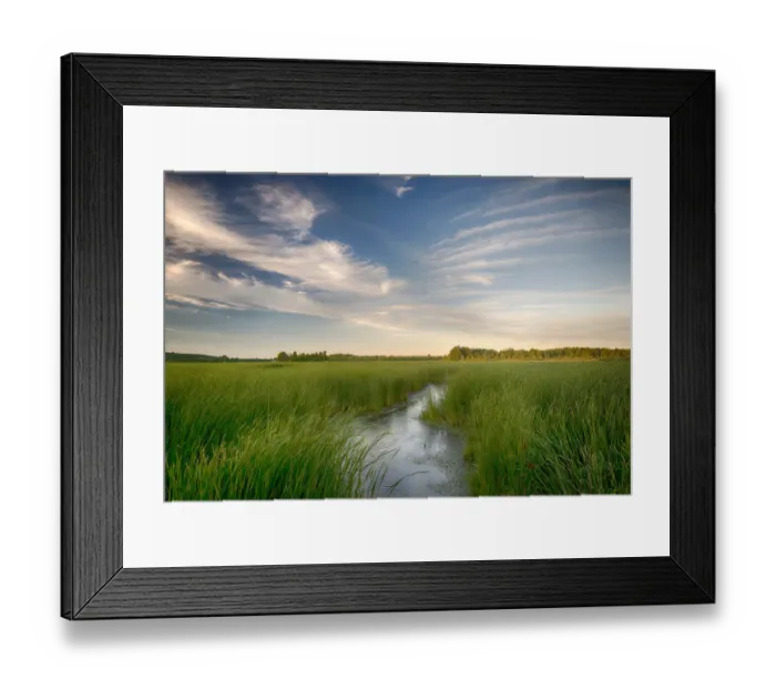 Framed Print : USA, New York State. Cattails along French Creek, Thousand Islands Framed Print : USA, New York State. Cattails along French Creek, Thousand Islands