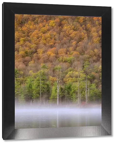 USA, New York State. Autumn foliage and mist on Labrador Pond