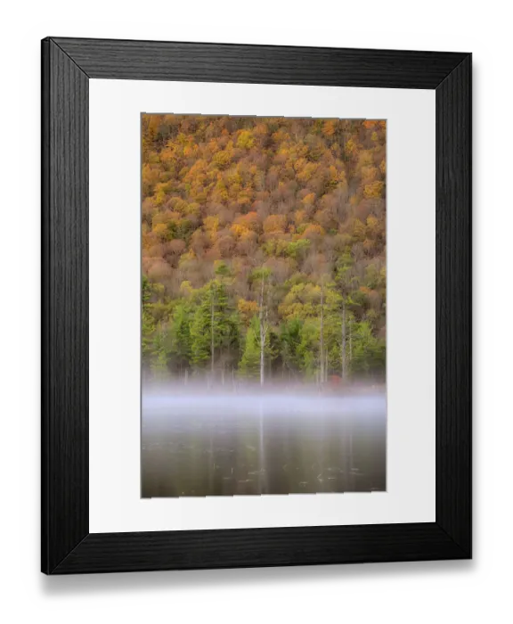 Framed Print : USA, New York State. Autumn foliage and mist on Labrador Pond Framed Print : USA, New York State. Autumn foliage and mist on Labrador Pond