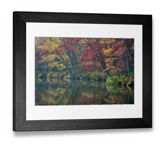 Framed Print : USA, New York State. Autumn trees reflected, Beaver Lake Nature Center Framed Print : USA, New York State. Autumn trees reflected, Beaver Lake Nature Center