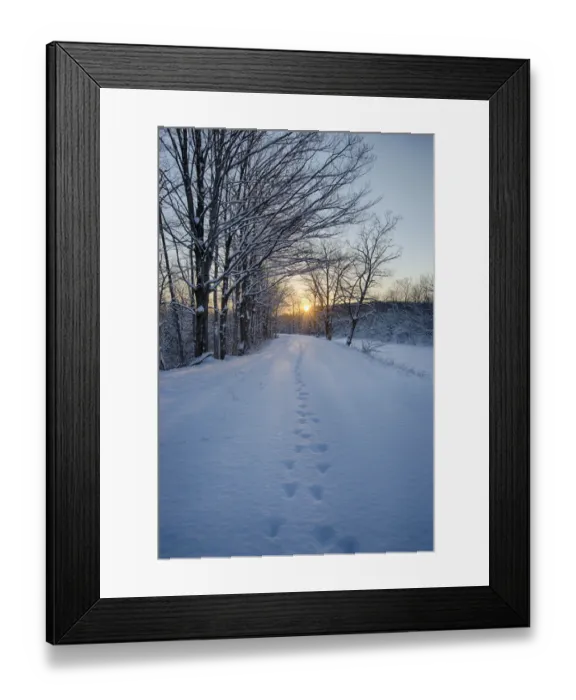Framed Print : USA, New York State. Animal tracks in snow, Erie Canal Framed Print : USA, New York State. Animal tracks in snow, Erie Canal