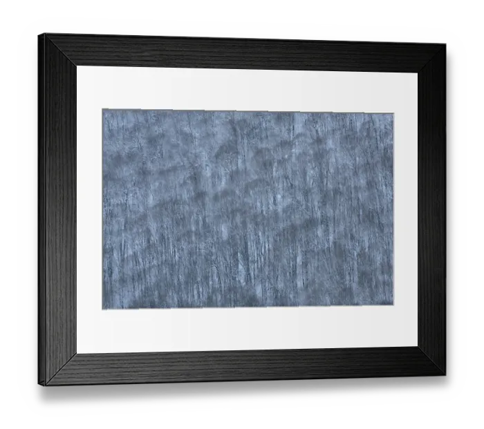 Framed Print : USA, New York State. Hillside of winter trees Framed Print : USA, New York State. Hillside of winter trees