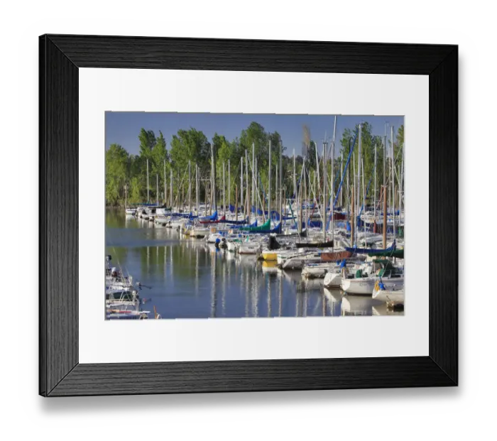 Framed Print : USA, Oregon, Portland. Sailboats docked in Tomahawk Bay
