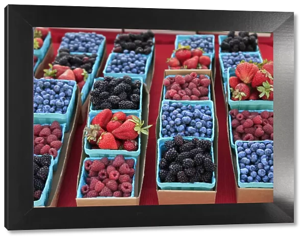 USA, Oregon, Portland. Display of berries at Farmers Market