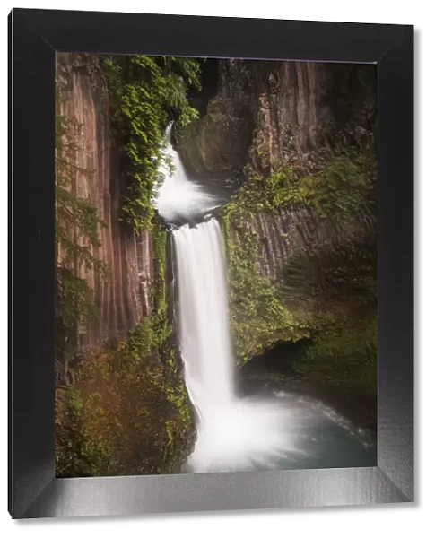 USA, Oregon. Toketee Falls flows over columnar basalt rock cliff