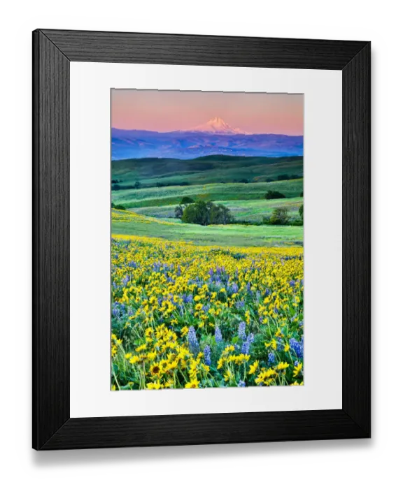 Framed Print : United States, Oregon, Columbia River Gorge, Landscape of Field and Mt. Hood Framed Print : United States, Oregon, Columbia River Gorge, Landscape of Field and Mt. Hood