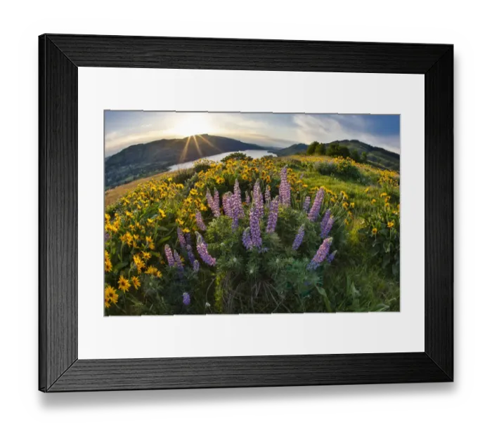 Framed Print : United States, Oregon, Columbia River Gorge, Rowena Crest at Sunrise Framed Print : United States, Oregon, Columbia River Gorge, Rowena Crest at Sunrise