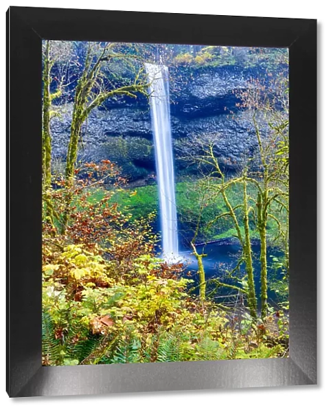 United States, Oregon, Silver Falls State Park, South Falls