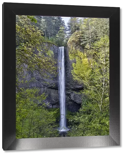 Latourell Falls Columbia River Gorge National Senic Area, Oregon