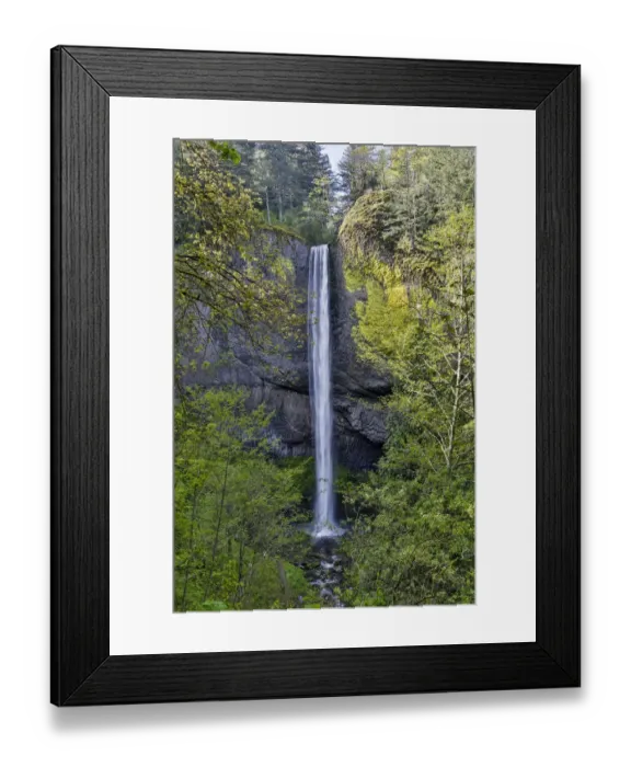 Framed Print : Latourell Falls Columbia River Gorge National Senic Area, Oregon Framed Print : Latourell Falls Columbia River Gorge National Senic Area, Oregon