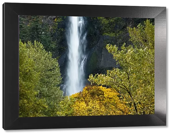 autumn, Multnomah Falls, Columbia Gorge, Oregon, USA