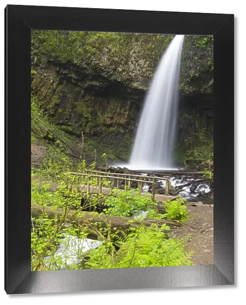 OR, Columbia River Gorge National Scenic Area, Upper Latourell Falls