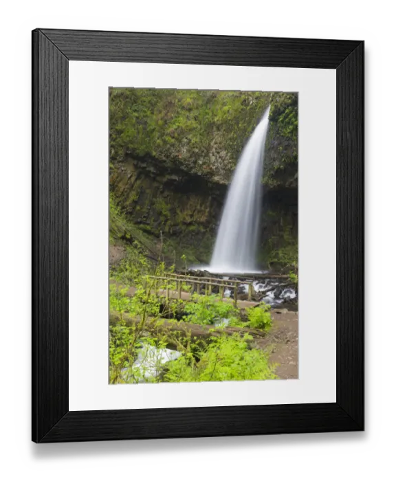 Framed Print : OR, Columbia River Gorge National Scenic Area, Upper Latourell Falls Framed Print : OR, Columbia River Gorge National Scenic Area, Upper Latourell Falls