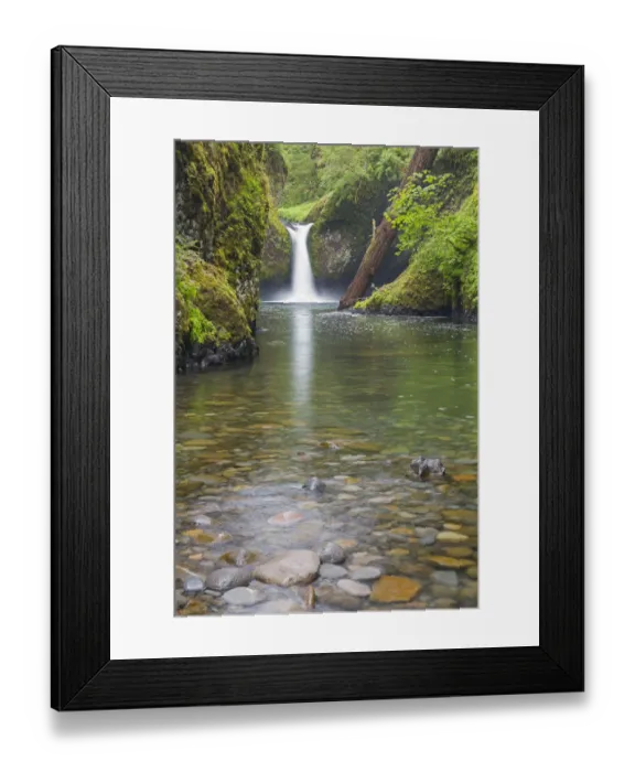 Framed Print : OR, Columbia River Gorge National Scenic Area, Punch Bowl Falls Framed Print : OR, Columbia River Gorge National Scenic Area, Punch Bowl Falls