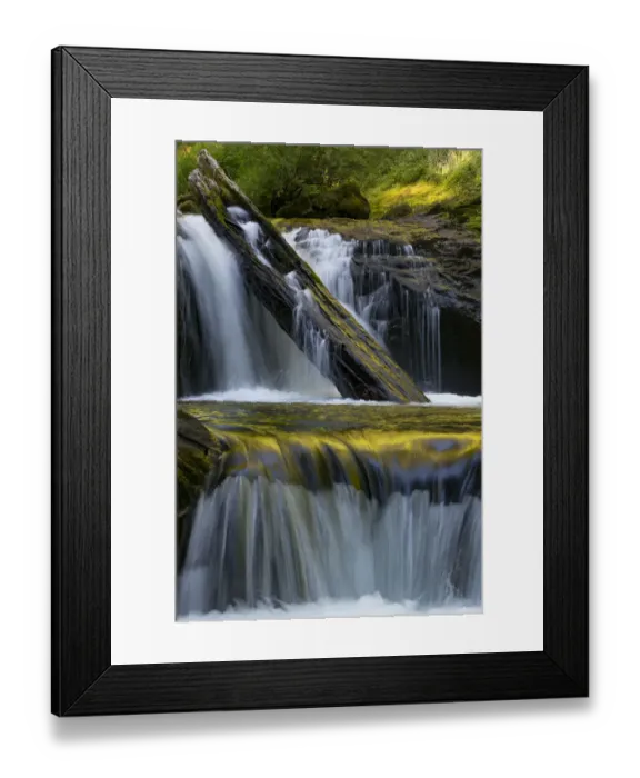 Framed Print : North America, USA, Oregon. Fallen lof and waterfall reflections on Sweet Creek Framed Print : North America, USA, Oregon. Fallen lof and waterfall reflections on Sweet Creek