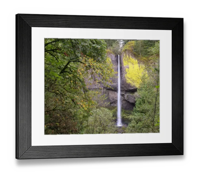 Framed Print : Latourell Falls. Columbia River Gorge. Oregon. USA Framed Print : Latourell Falls. Columbia River Gorge. Oregon. USA