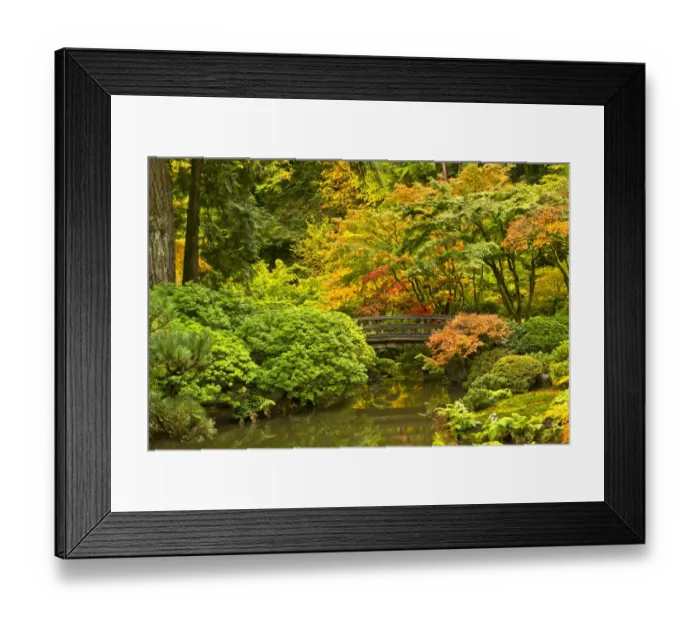 Framed Print : autumn, Moon Bridge, Portland Japanese Garden, Portland, Oregon, USA Framed Print : autumn, Moon Bridge, Portland Japanese Garden, Portland, Oregon, USA