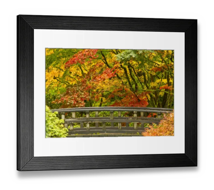 Framed Print : autumn, Moon Bridge, Portland Japanese Garden, Portland, Oregon, USA Framed Print : autumn, Moon Bridge, Portland Japanese Garden, Portland, Oregon, USA