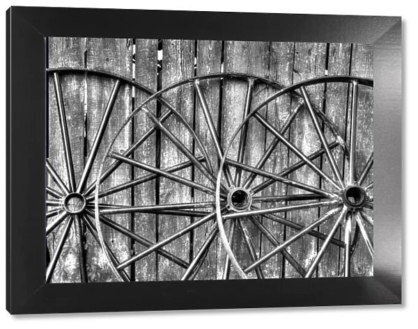 Black and white photo of wooden fence and old wagon wheels, Middleton Place Plantation