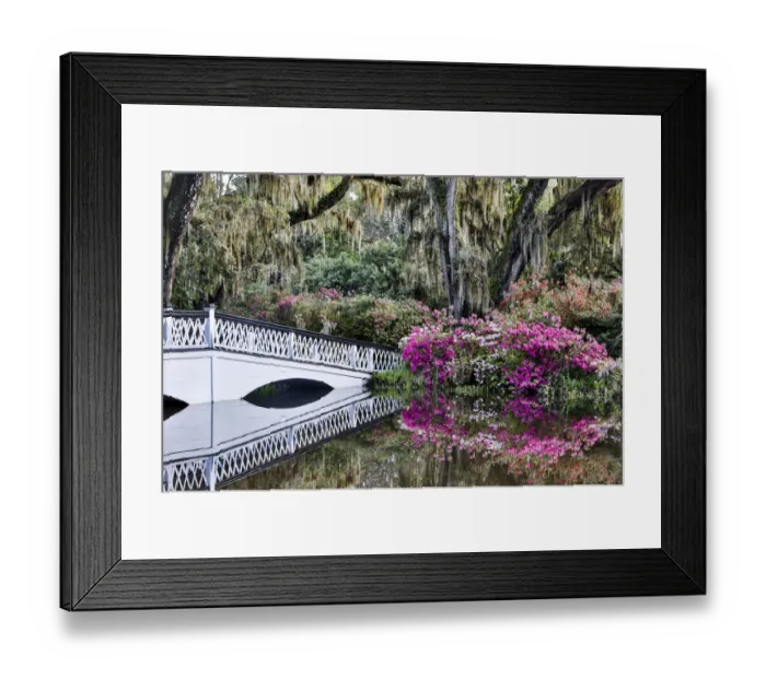 Framed Print : United States, North Carolina, Magnolia Plantation, White Bridge with Azaleas
