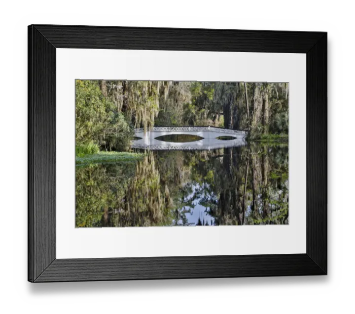 Framed Print : Bridge crossing pond Springtime azelea blooming Magnolia Plantation, Charelston South