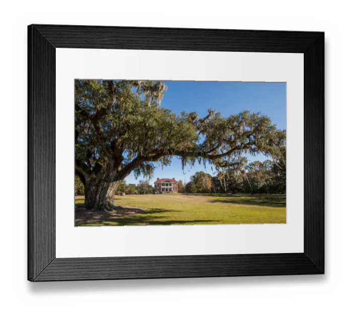 Framed Print : Spanish moss covered tree and the Drayton Hall 18th-century plantation house, Charleston