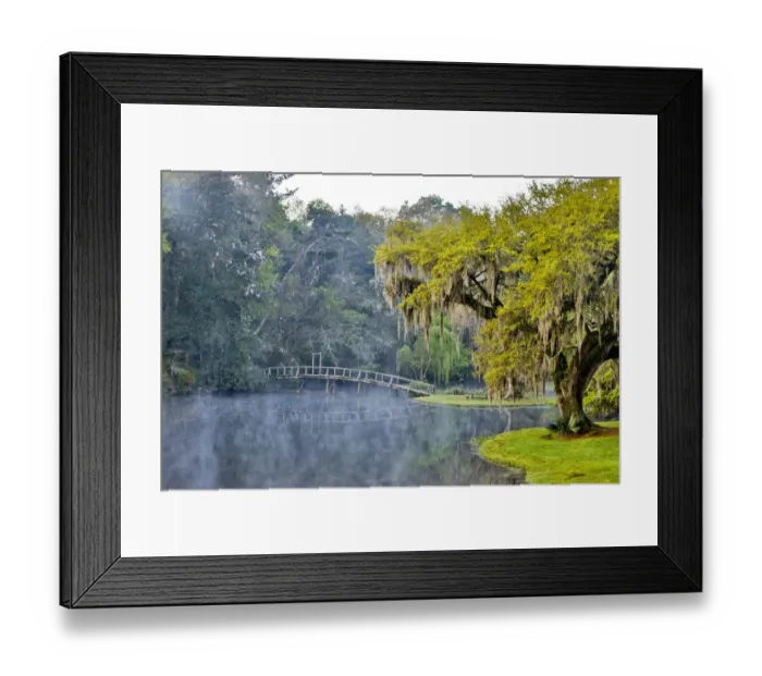 Framed Print : United States, North Carolina, Charleston, Middleton Place, Early Morning Mist Framed Print : United States, North Carolina, Charleston, Middleton Place, Early Morning Mist