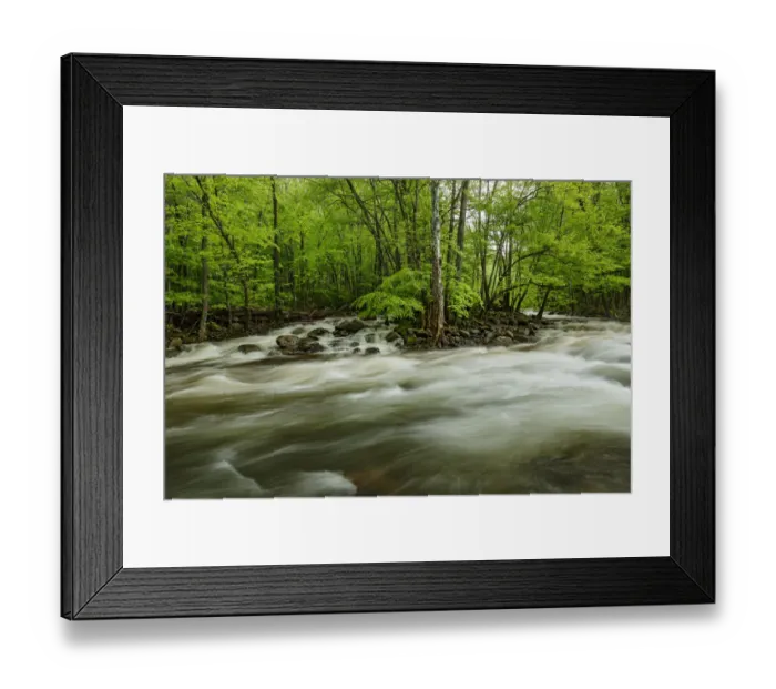 Framed Print : Middle Prong in spring, Great Smoky Mountains National Park, Tennessee Framed Print : Middle Prong in spring, Great Smoky Mountains National Park, Tennessee