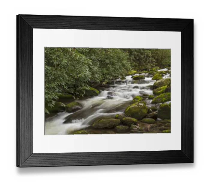 Framed Print : Roaring Fork flowing over moss covered boulders, Roaring Fork Motor Nature Trail Framed Print : Roaring Fork flowing over moss covered boulders, Roaring Fork Motor Nature Trail