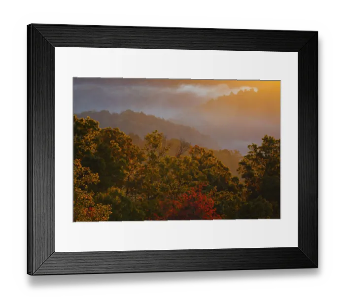 Framed Print : USA; North America; Tennessee; Great Smoky Mountain NP; Trees and fog at sunrise Framed Print : USA; North America; Tennessee; Great Smoky Mountain NP; Trees and fog at sunrise