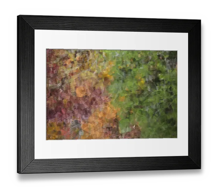 Framed Print : USA; North America; Tennessee; Great Smoky Mountain NP; Autumn reflections in