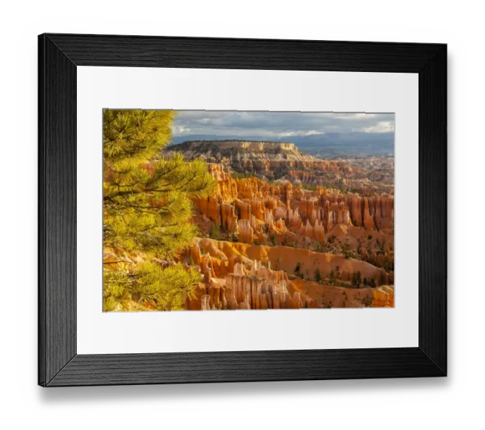 Framed Print : USA, Utah, Bryce Canyon National Park. Overview of canyon formations Framed Print : USA, Utah, Bryce Canyon National Park. Overview of canyon formations
