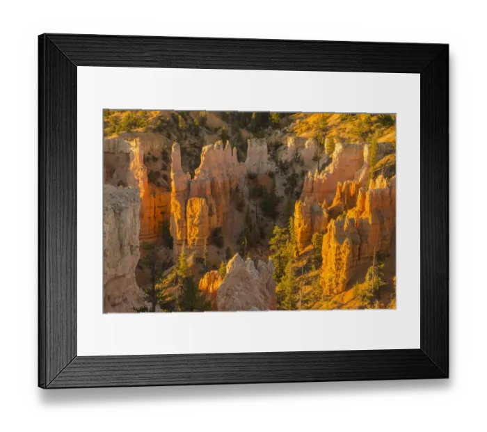 Framed Print : USA, Utah, Bryce Canyon National Park. Canyon overview